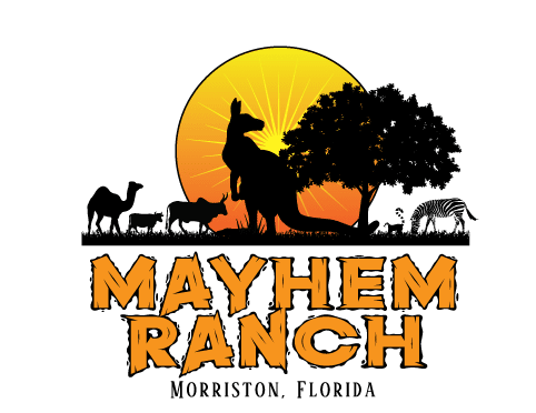 Events | mayhem ranch final sun logos | mayhem ranch