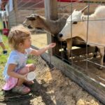 About us | 309209084 5668138709912404 2132562777330450739 n | mayhem ranch