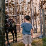About us | 311057972 5698972996828975 5269407326655662372 n | mayhem ranch