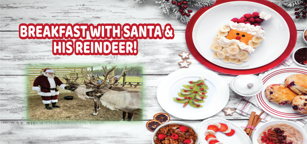 Breakfast With Santa &Amp; His Reindeer! | Mayhem Ranch Breakfast with santa & his reindeer! | 2024 bf final | mayhem ranch
