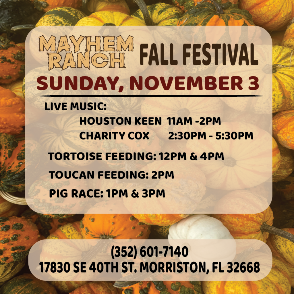 Sunday, november 3 | 3 recovered | mayhem ranch